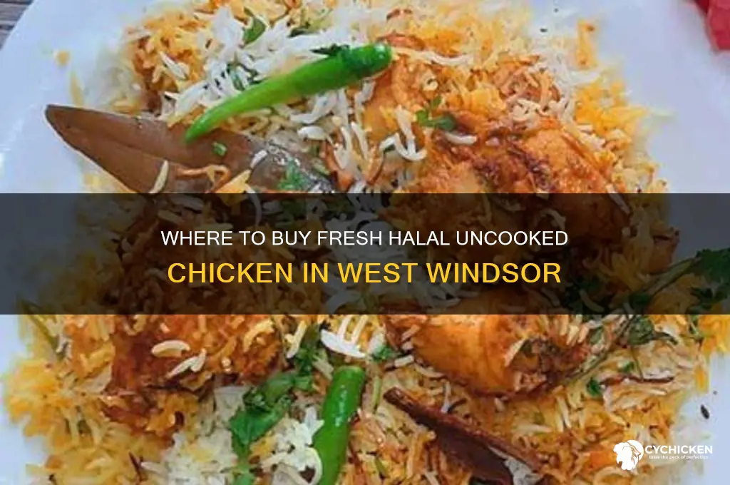 where can i buy uncooked chicken halal in west windsor
