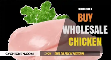 Top Wholesale Chicken Suppliers: Where to Buy in Bulk
