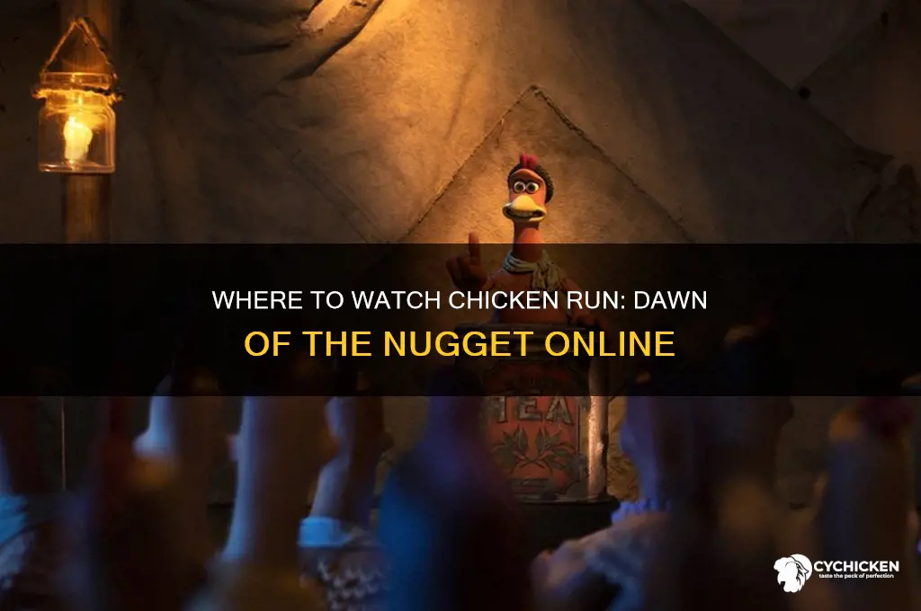 where can i watch chicken run dawn of the nugget