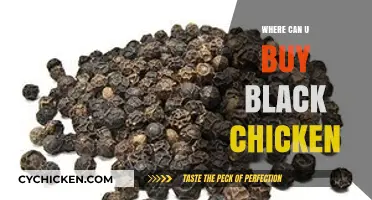 Where to Buy Black Chicken: A Guide to Unique Poultry Sources