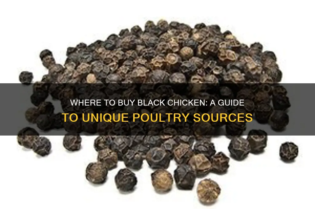 where can u buy black chicken