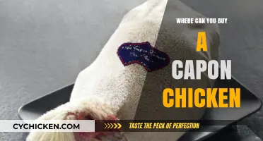 Where to Buy Capon Chicken: A Comprehensive Shopping Guide