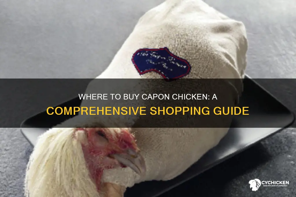 where can you buy a capon chicken