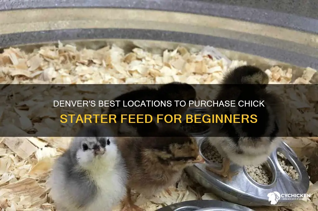 where can you buy chick starter feed in denver