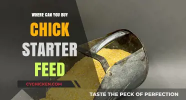 Where to Buy Chick Starter Feed: Top Retailers and Online Options