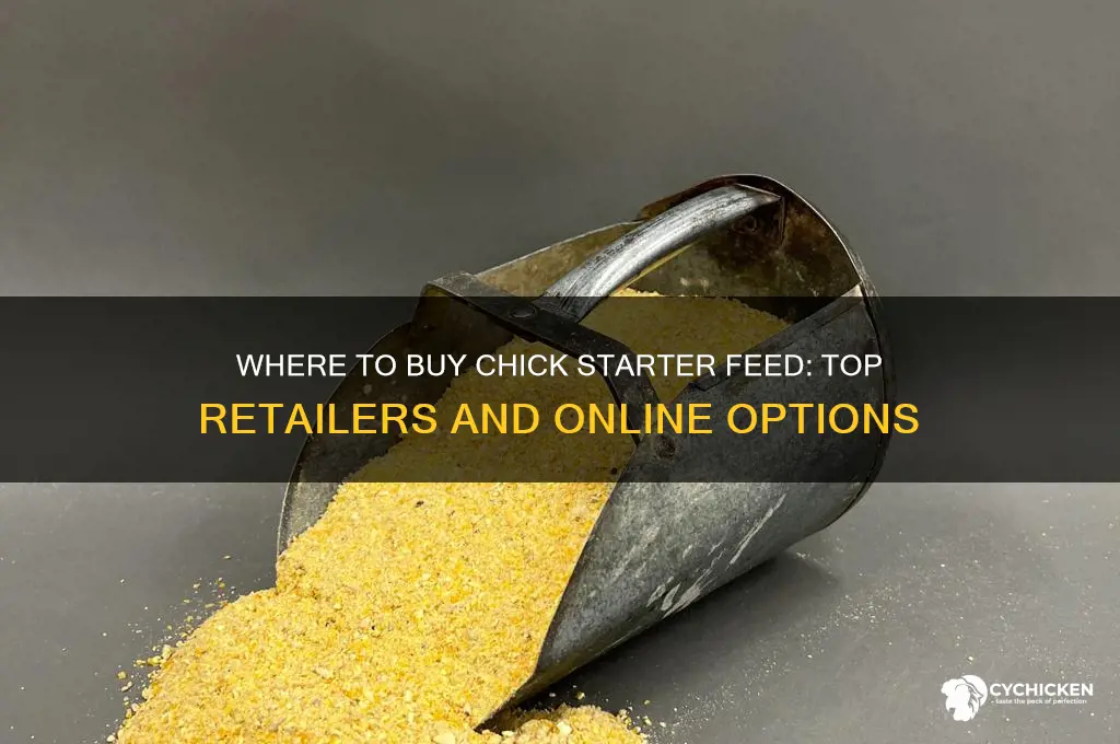where can you buy chick starter feed
