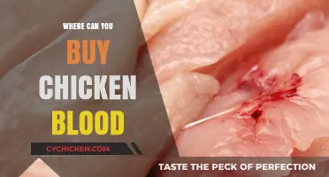 Where to Buy Chicken Blood: A Comprehensive Guide for Buyers