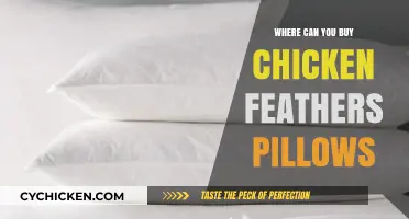 Where to Buy Chicken Feather Pillows: A Comprehensive Shopping Guide
