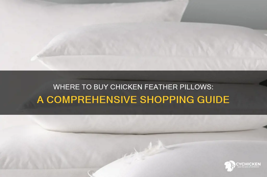 where can you buy chicken feathers pillows
