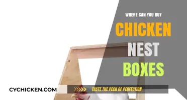 Best Places to Purchase Quality Chicken Nest Boxes Online & Locally