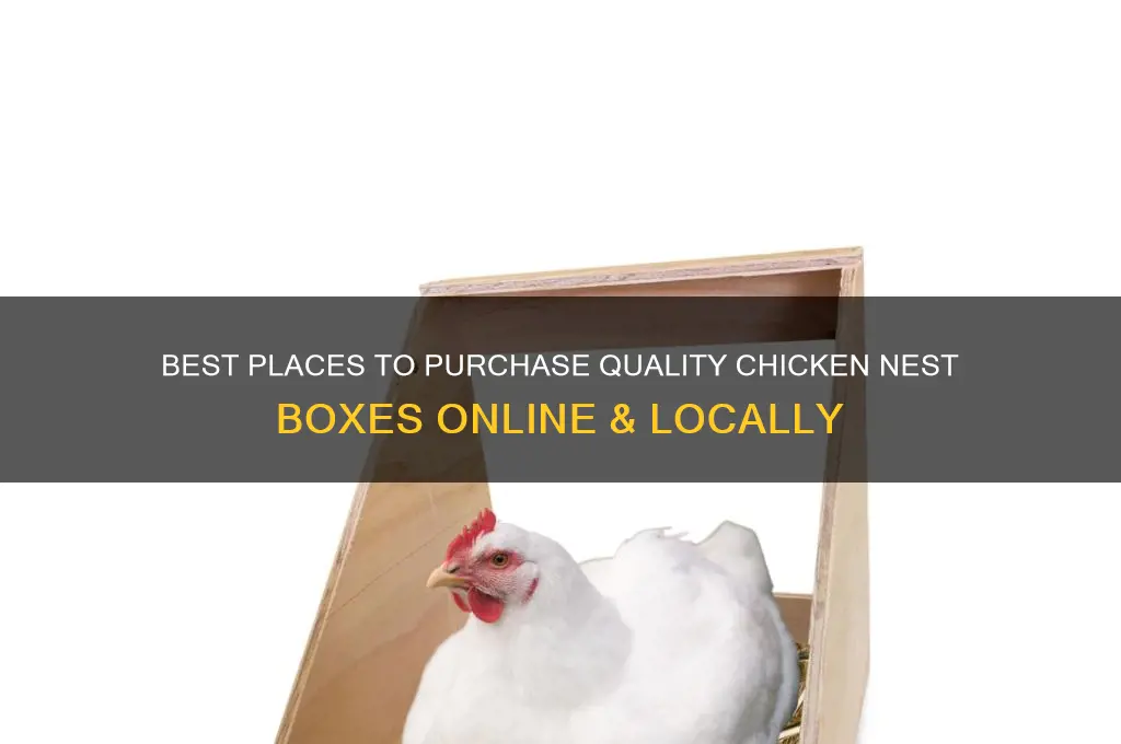 where can you buy chicken nest boxes