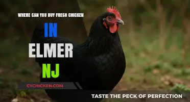 Discover Fresh Chicken Sources in Elmer, NJ: A Local Guide