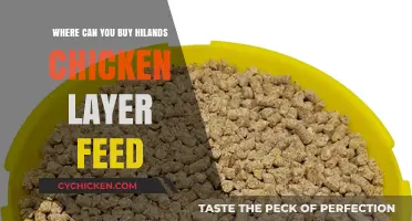 Where to Buy Hiland's Chicken Layer Feed: A Comprehensive Guide