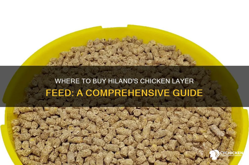 where can you buy hilands chicken layer feed