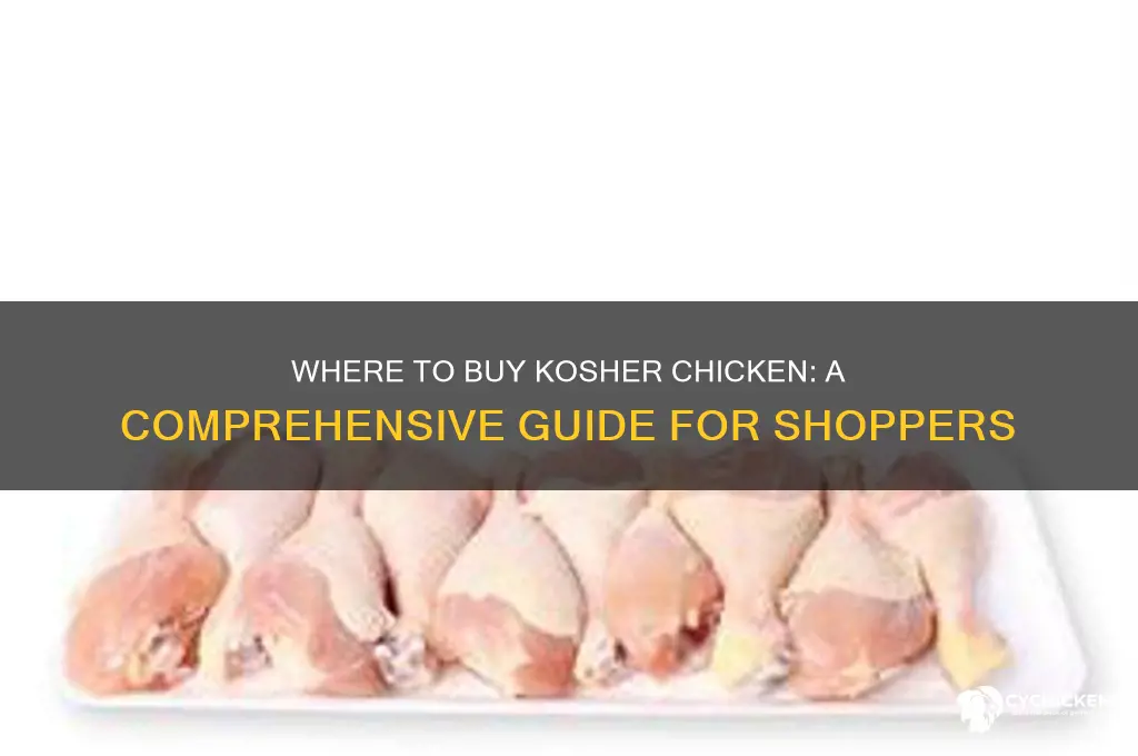 where can you buy kosher chicken