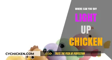 Where to Buy Light-Up Chicken: Top Retailers and Online Stores