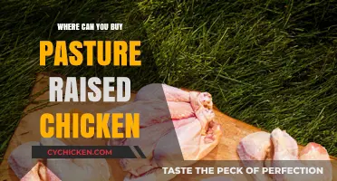 Discover Local Farms and Stores Selling Pasture-Raised Chicken Near You