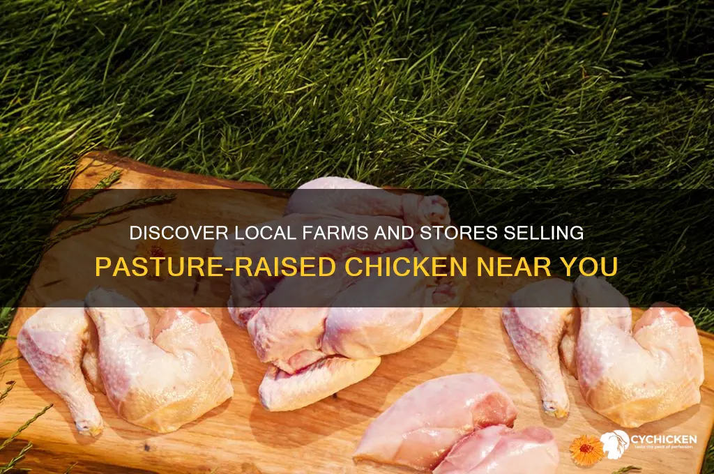 where can you buy pasture raised chicken