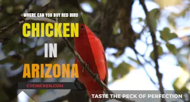 Where to Find Red Bird Chicken in Arizona: Top Retailers