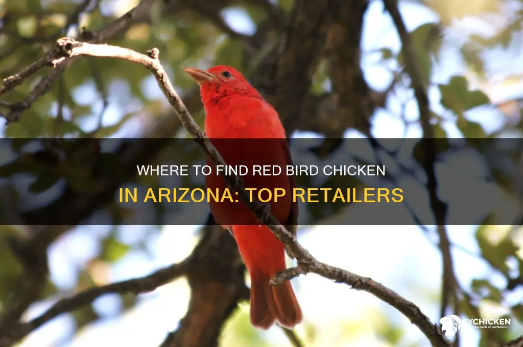 where can you buy red bird chicken in arizona