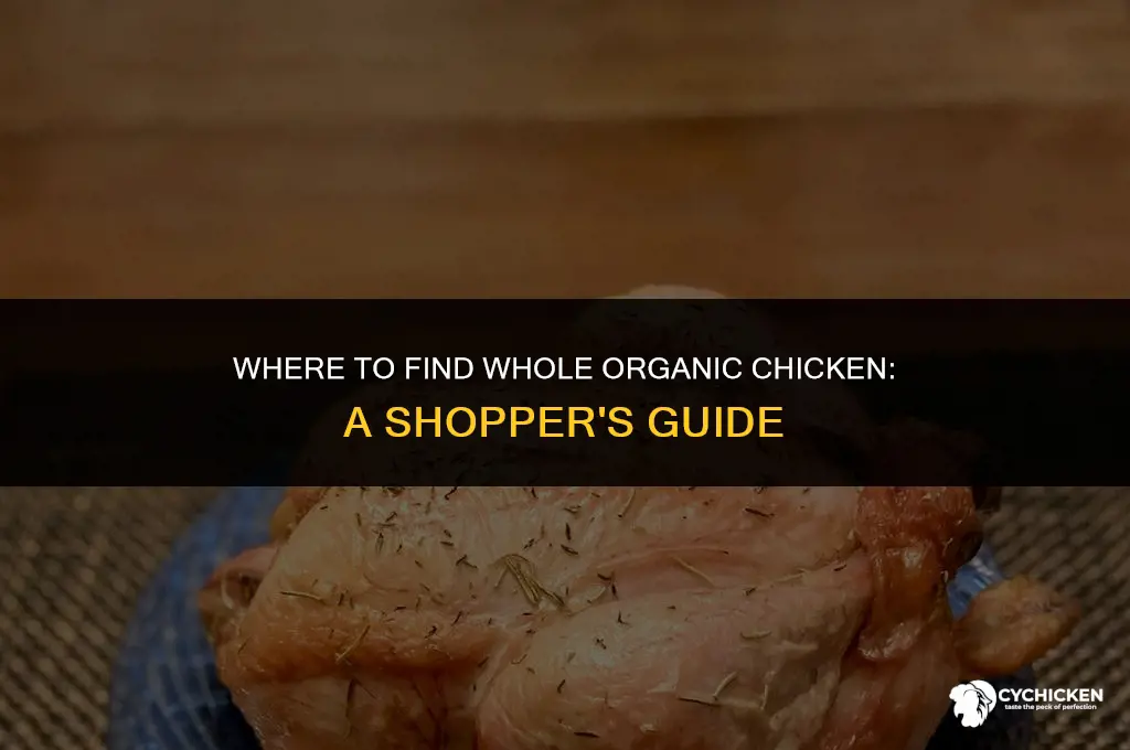 where can you buy whole organic chicken