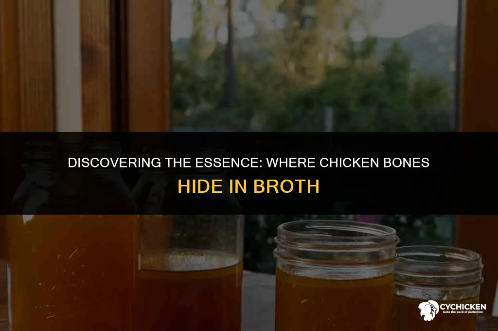 where can you find chicken bone in broth