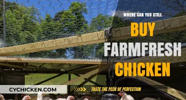 Discover Local Sources for Fresh, Farm-Raised Chicken Near You