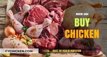 Where to Buy Fresh Chicken: Top Local and Online Options