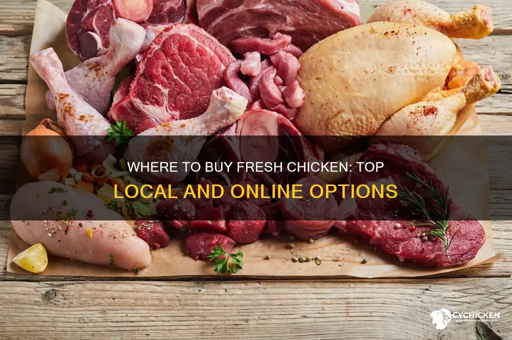 where cani buy chicken