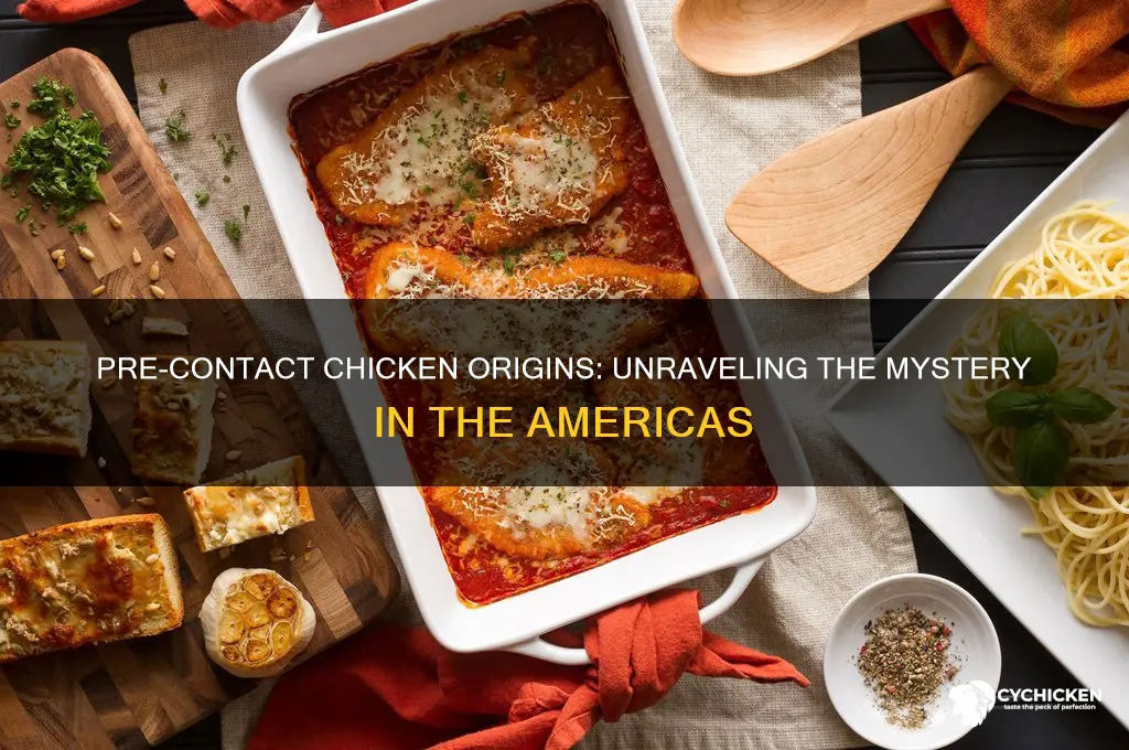 where chicken in the americas pre-contact