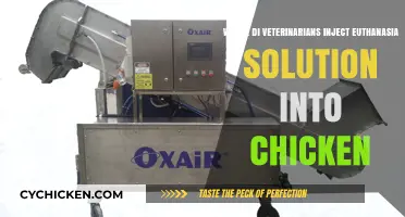 Euthanasia in Poultry: Injection Sites for Chickens Explained