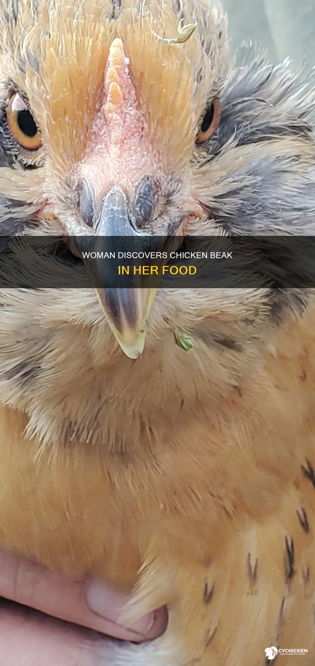 where did a woman find a chicken beak in food