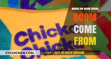 Unraveling the Origins of the Catchy Phrase 'Boom Chicka Boom