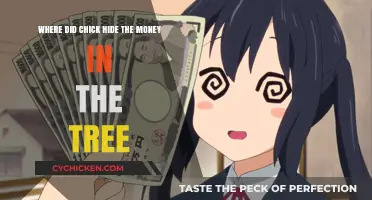 The Chick's Secret Tree Stash: Where's the Money?