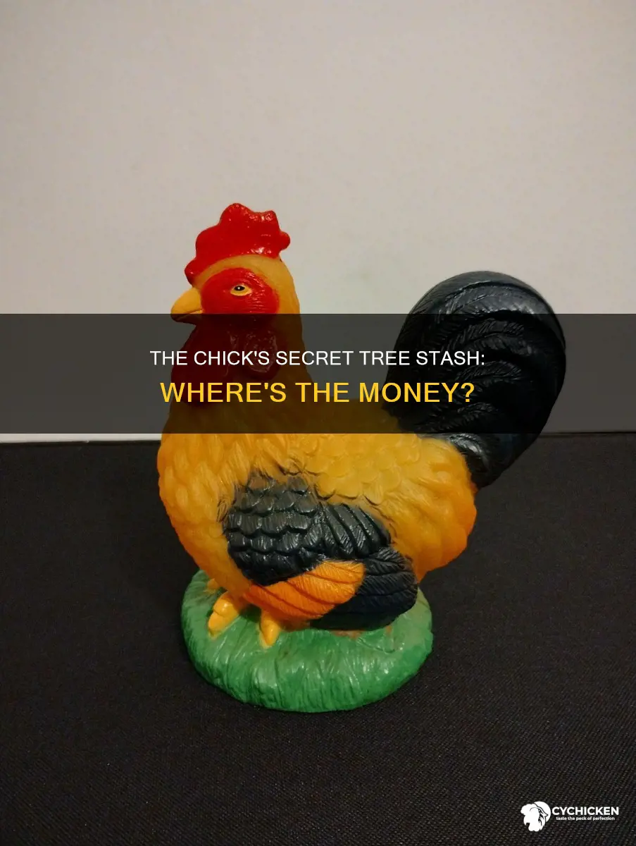 where did chick hide the money in the tree