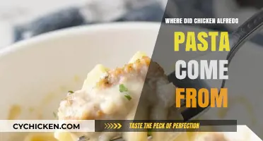 The Surprising Origins of Classic Chicken Alfredo Pasta Dish