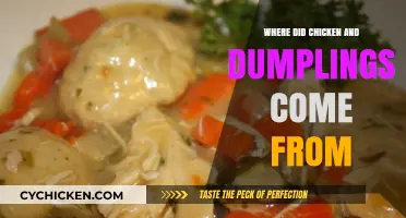 The Surprising Origins of Chicken and Dumplings: A Culinary Journey