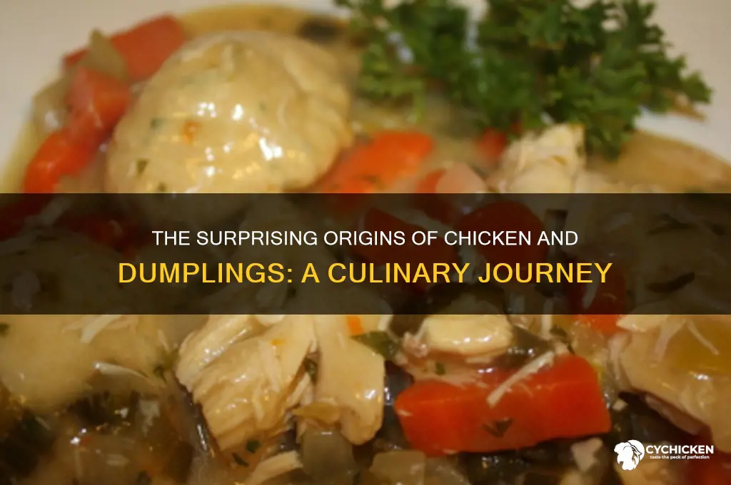 where did chicken and dumplings come from