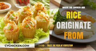 Tracing the Global Roots of Chicken and Rice: A Culinary Journey