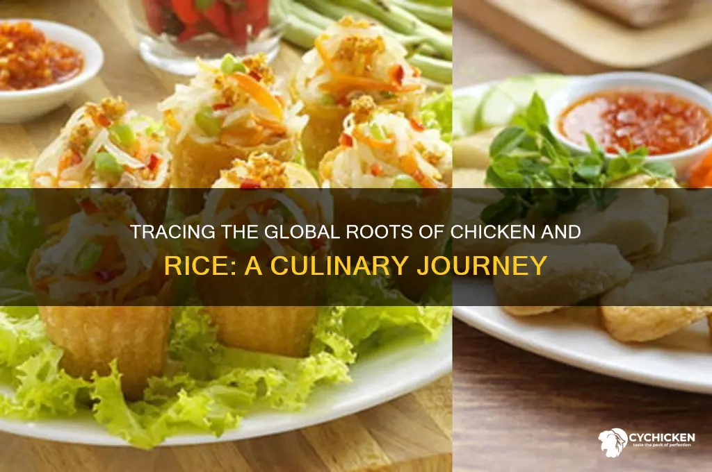 where did chicken and rice originate from