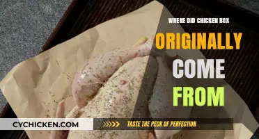 Uncovering the Surprising Origins of the Classic Chicken Box Meal
