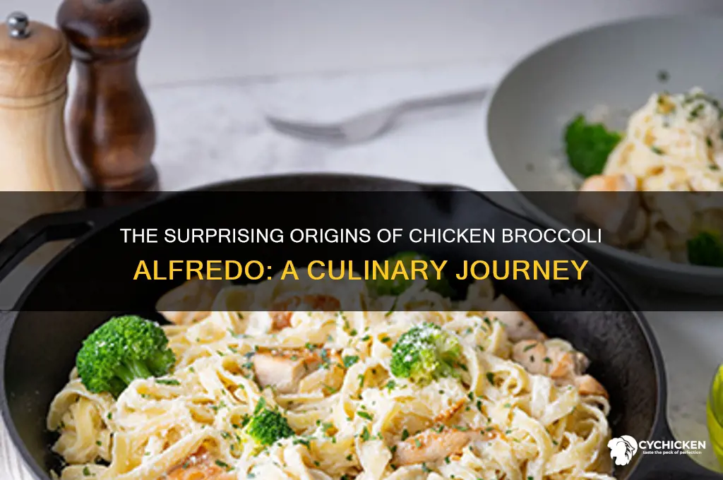 where did chicken broccoli alfredo originate from