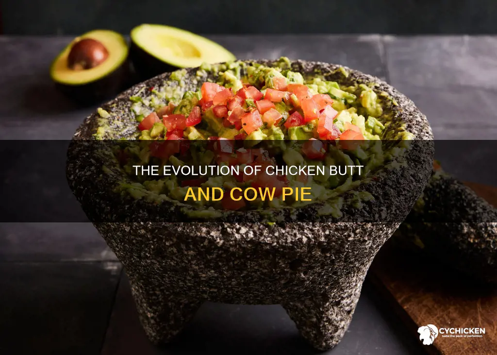 where did chicken butt and cow pie come from