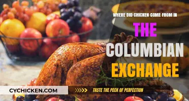 Chicken's Journey: Columbian Exchange