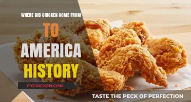 The Surprising Journey of Chicken to America: A Historical Exploration