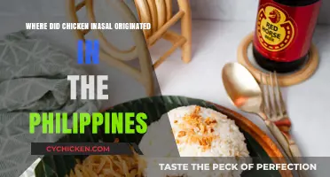 The Delicious History: Tracing Chicken Inasal's Origins in the Philippines