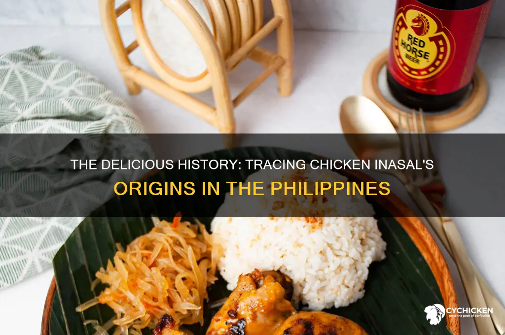 where did chicken inasal originated in the philippines