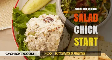 From Humble Beginnings: The Inspiring Story of Chicken Salad Chick's Rise