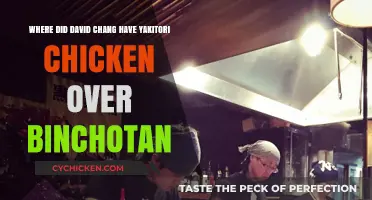 Chang's Yakitori Chicken Experience Over Binchotan