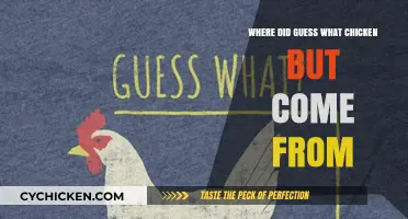 Unraveling the Origins: Where Did 'Guess What Chicken Butt' Come From?